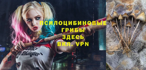 MDMA Белокуриха