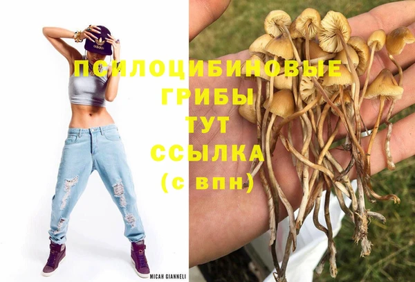 каннабис Беломорск