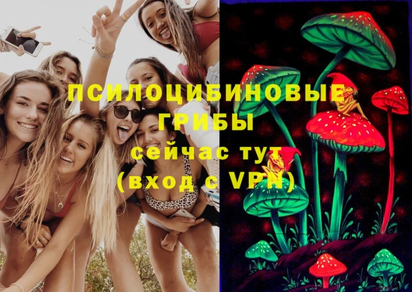 MDMA Белокуриха